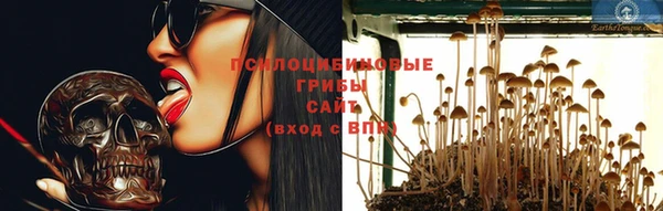 спайс Аркадак